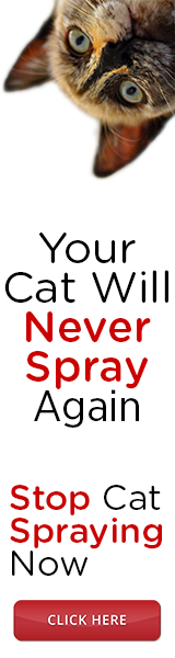 catspraystop