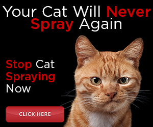 catspraystop