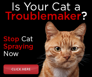 catspraystop