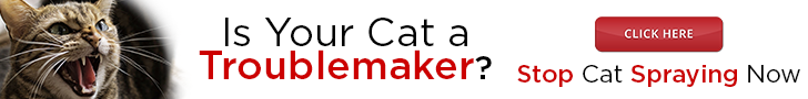 catspraystop