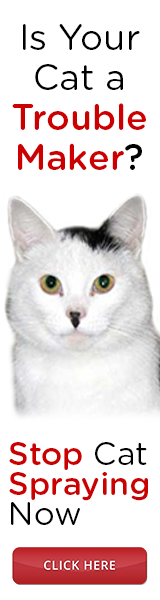 catspraystop